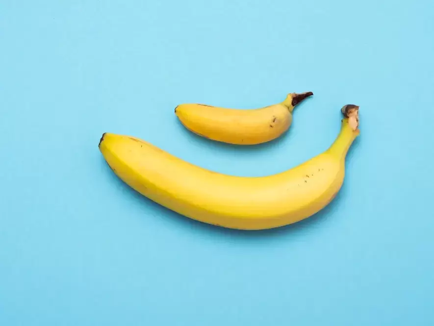 mali i uvećani penis sa pompom na primjeru banane